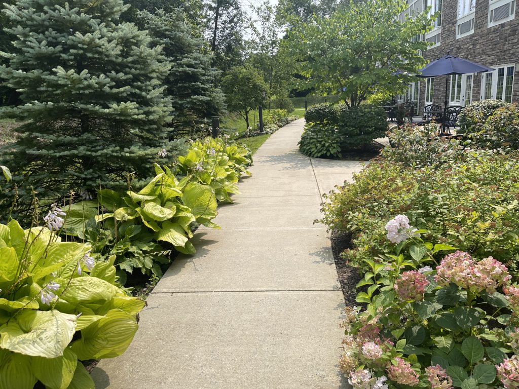 pathway around the ambassador